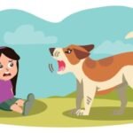 Why Your Dogs Bark When is Angry: 7 Shocking Reasons